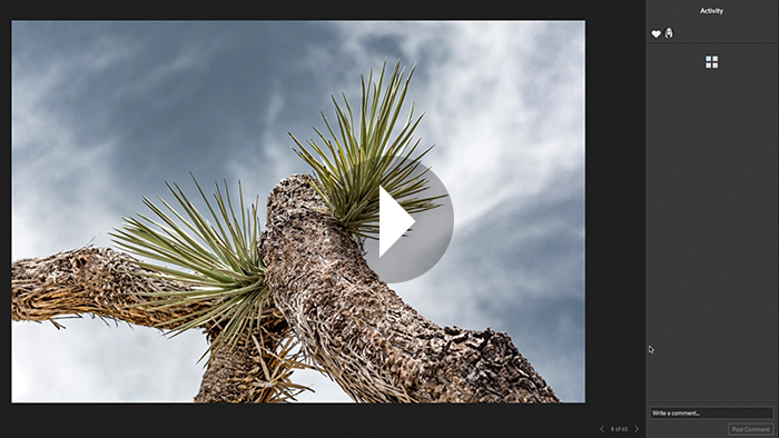 mac os 10.14 unable to share email with lightroom 6 mac os 10.14 unable to share email with lightroom 6