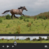 Working with DSLR Video