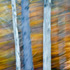 Essential Shortcuts for Lightroom's Develop Module