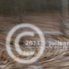 Watermarking Images in Lightroom
