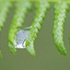 Cropping Two Images to the Same Size in Photoshop CS6