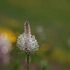Tilt-Shift, Iris and Field Blur in Photoshop CS6