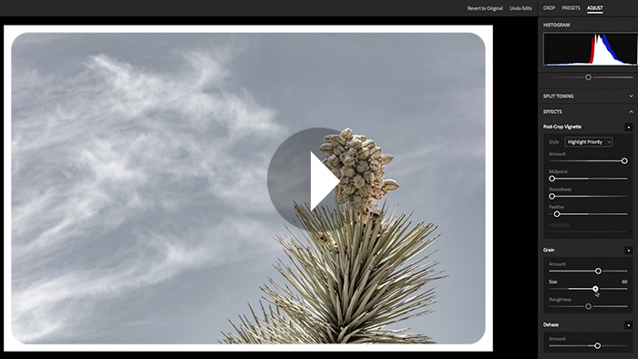 lightroom web online lightroom web online