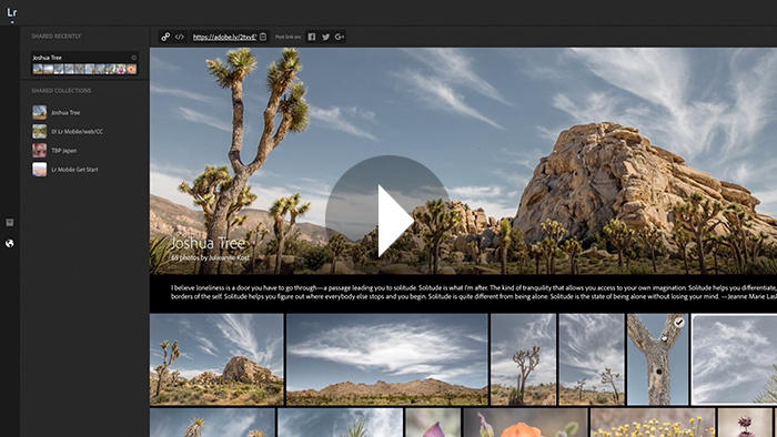 lightroom web lightroom web